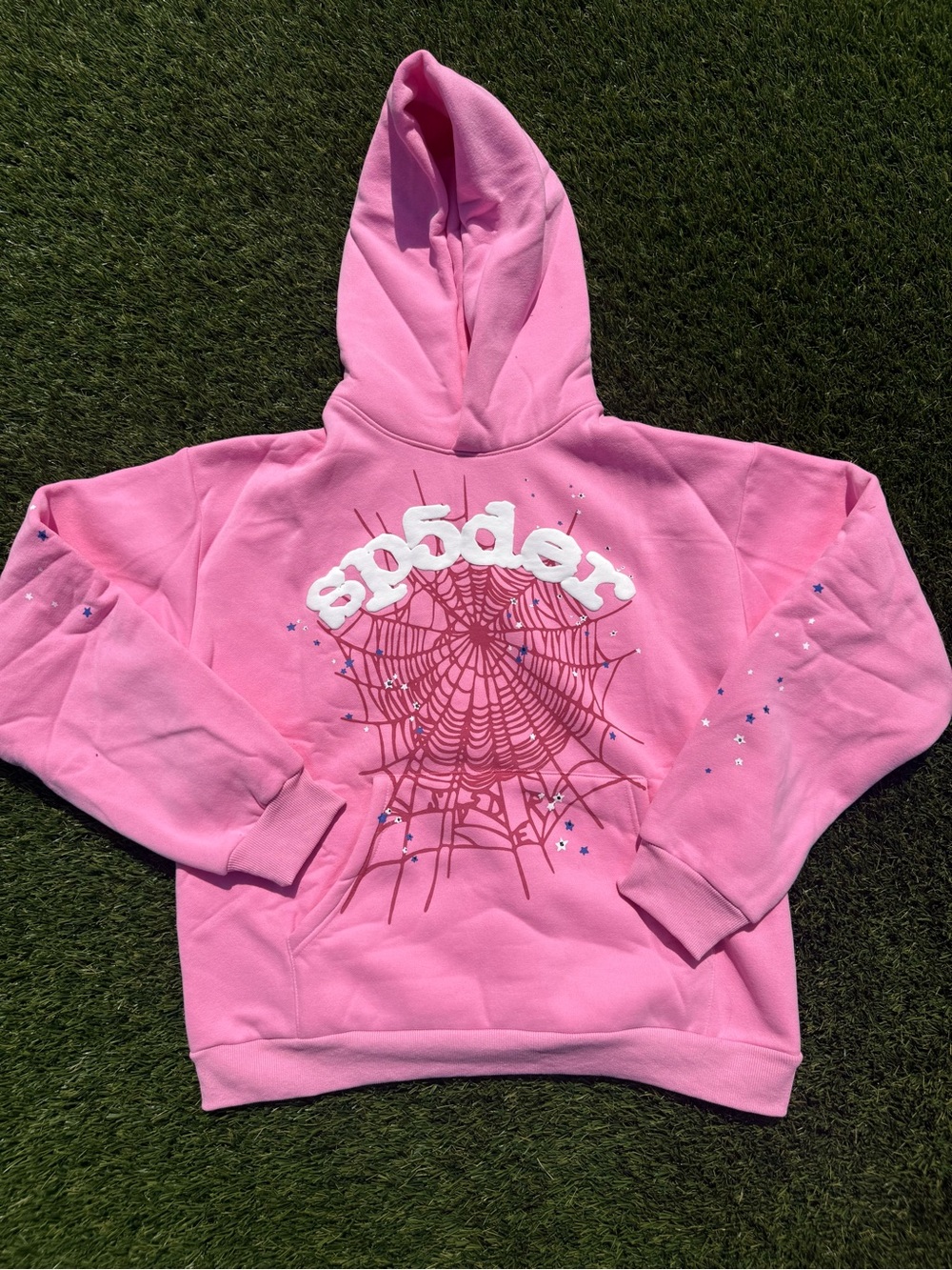 Pink Spider Graphic  Hoodie